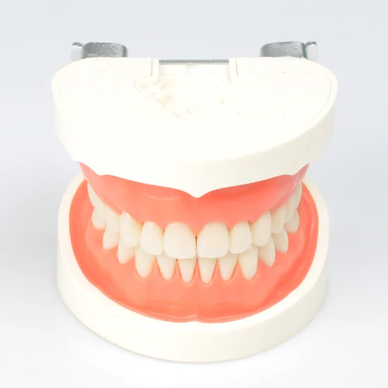 Escáner de escritorio del articulador 3D de la impresión de los laboratorios dentales de la alta estabilidad